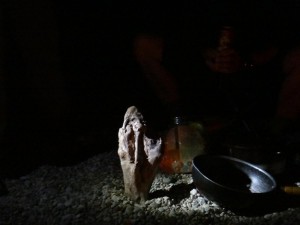 DSC05027